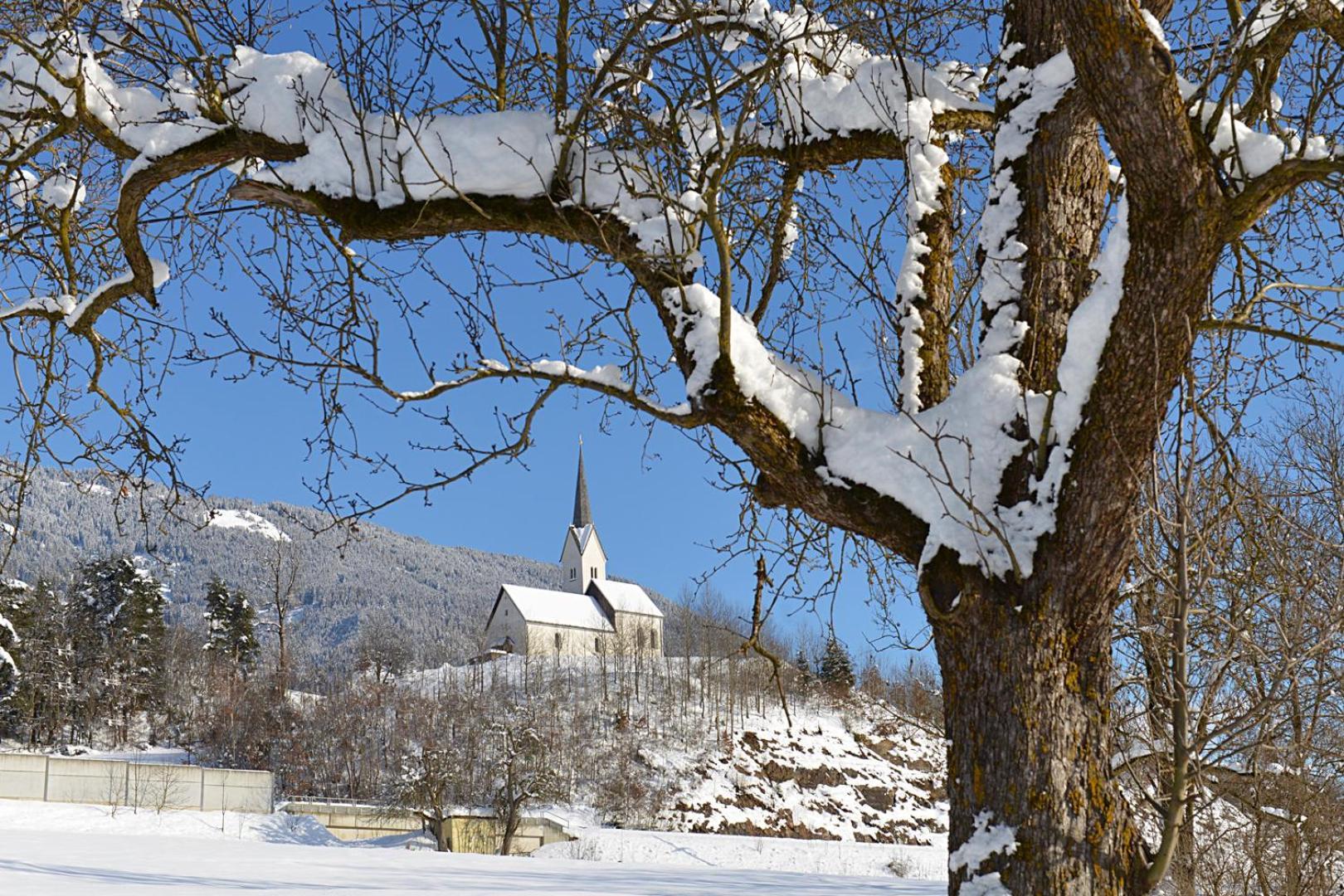 Haus Altenmarkt Mollbrucke エクステリア 写真